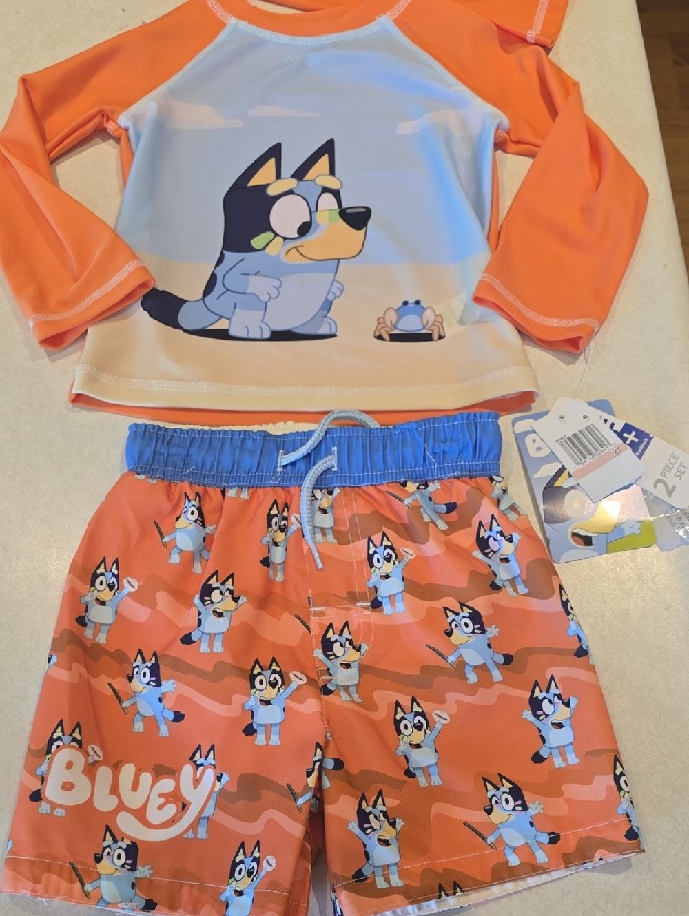 Bluey Swim Set for Toddler Boys- Swim Trunks with Long Sleeve Rash Guard